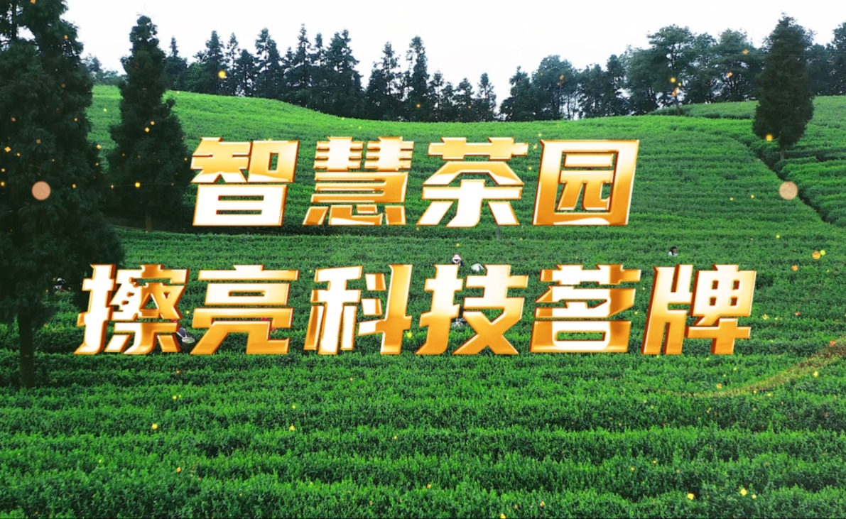 智慧茶园，擦亮科技茗牌