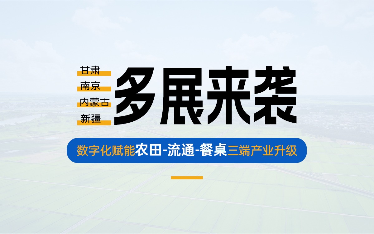 盛夏多展来袭，共探产业数字化新路径