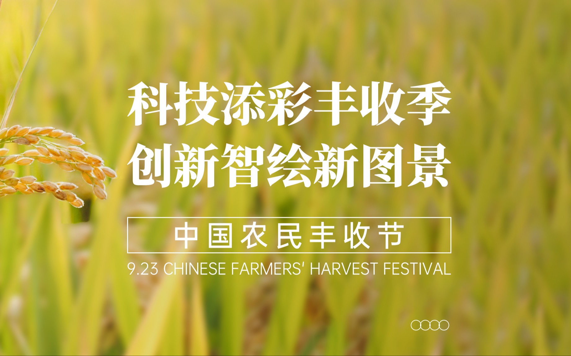 科技添彩丰收季，创新智绘新图景！
