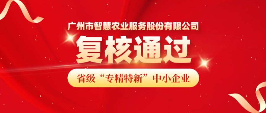 再获认可！广州市67381顶级国际娱乐服务股份有限公司成功通过省级专精特新中小企业复核！