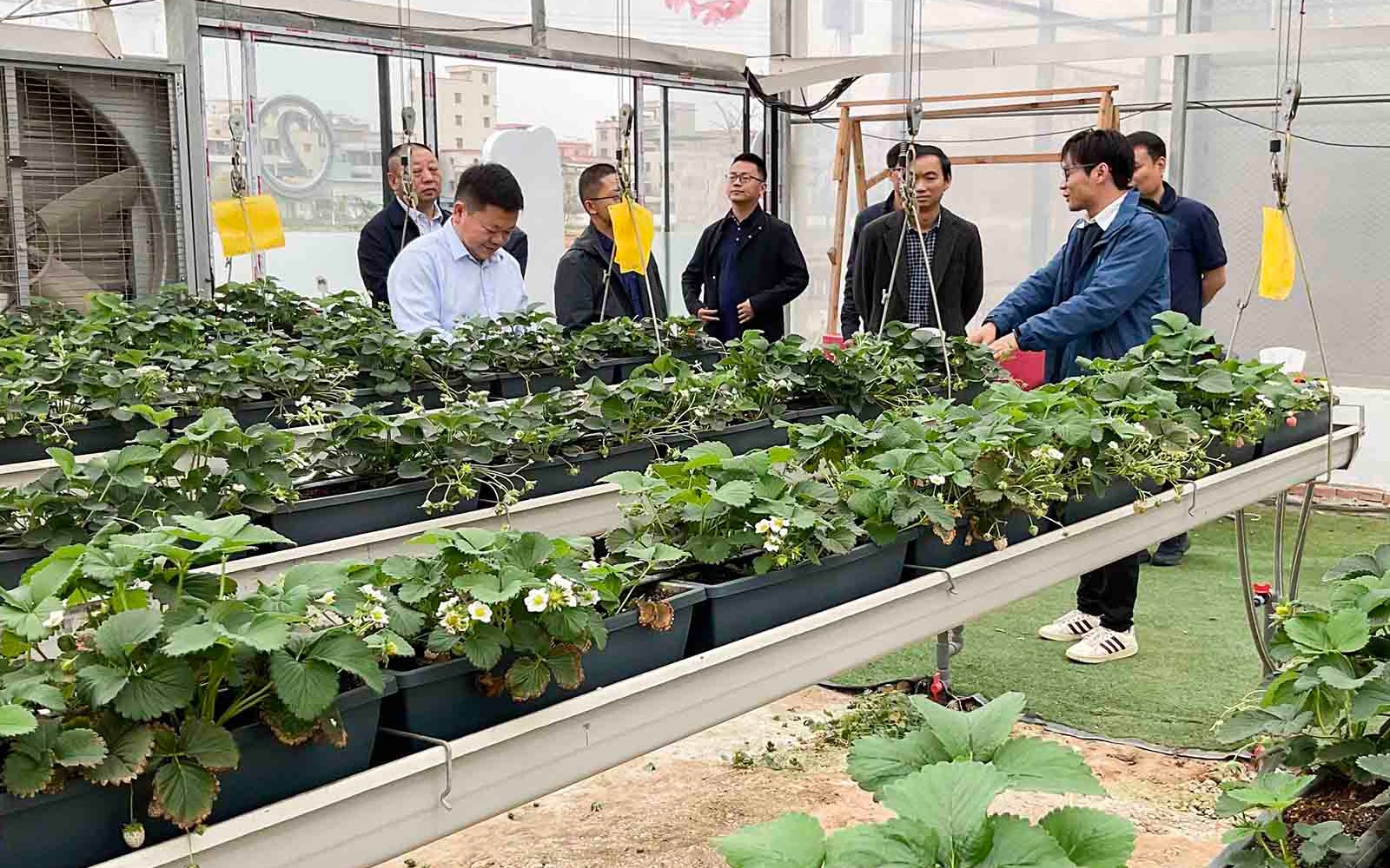 湖北省麻城市招商考察团队到访67381顶级国际娱乐进行调研交流